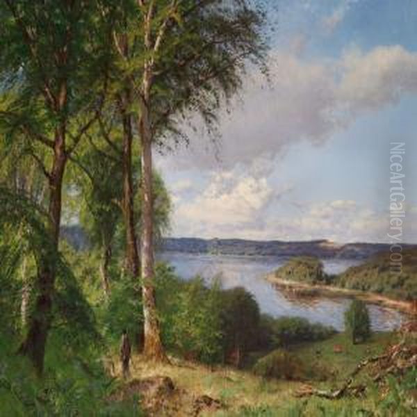 Skarritso - view 1