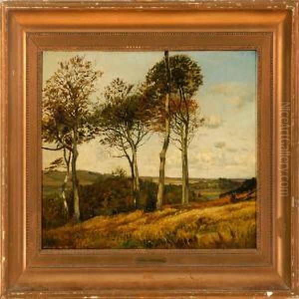 Autumn Landscape With Tall Trees - view 1