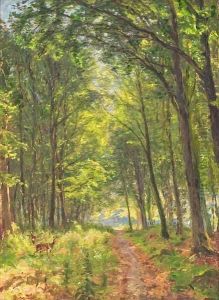Scenery From Hornbaek Plantage
