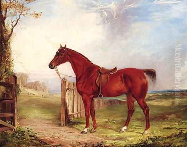 A saddled chestnut Hunter in an extensive Landscape with a Hunt beyond - view 1