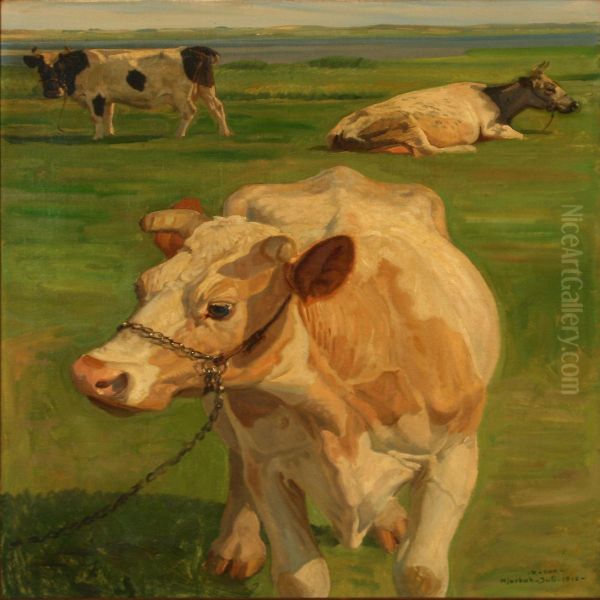 Grazing Cows Near Hjarbaek Fiord, Denmark - view 1