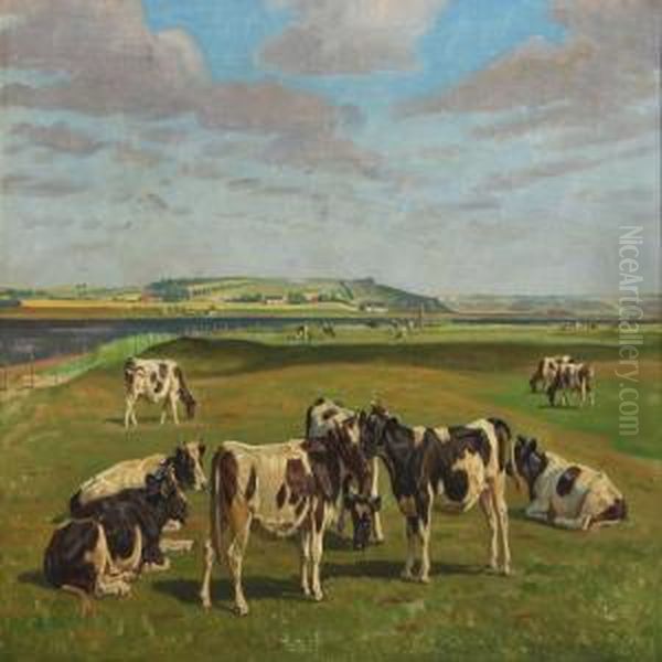 Cows On A Meadow At Hjarbaek Fiord - view 1