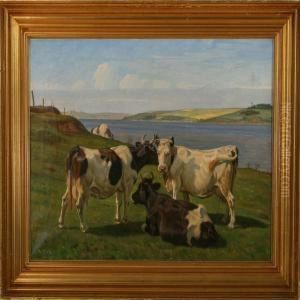 Grazing Cows At Afiord by Rasmus Christiansen