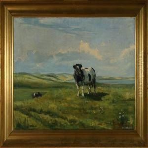 Bull In The Field by Rasmus Christiansen