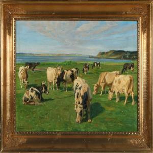 Bulls By Hjarbaek Inlet - view 1