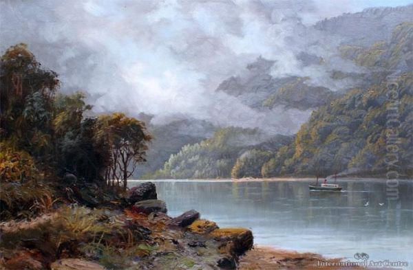Steamer In Dusky Sound - view 1