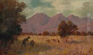 Landscape With Kangaroos