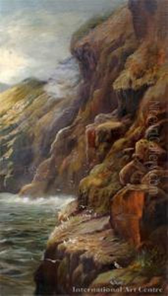 Coastal Scene - view 1