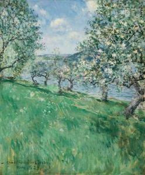 Blossoms Along The River - view 1