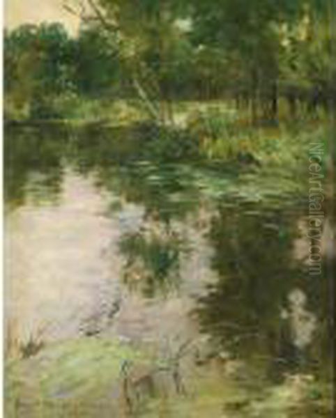 Reflections - view 1