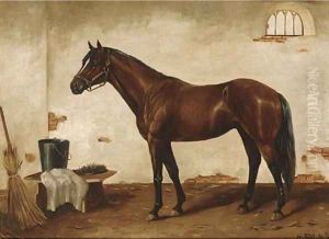 A bay hunter in a stable A bay hunter in a stable