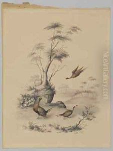 Three Pheasants by James Ryder van Brunt