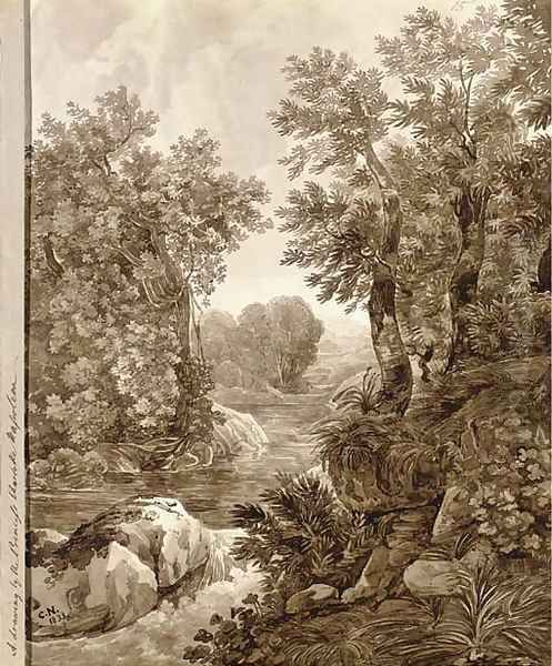 A river flowing through an overgrown valley - view 1