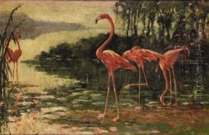 Flamingoes In A Florida Landscape