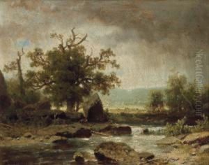 Fluslandschaft