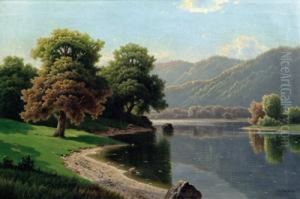 Seelandschaft Im Sommer