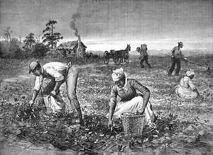 The Goober gatherers by Horace Bradley
