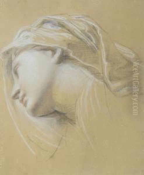 Tete De Femme Voilee, Vue De Profil Vers La Gauche - view 1