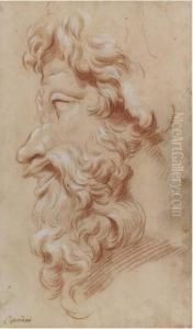 Study Of The Profile Of A Bearded God by Giovanni Batista Cipriani