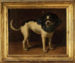 Cane Carlino