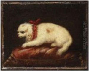 Maltese On A Red Cushion by Pier Francesco Cittadini
