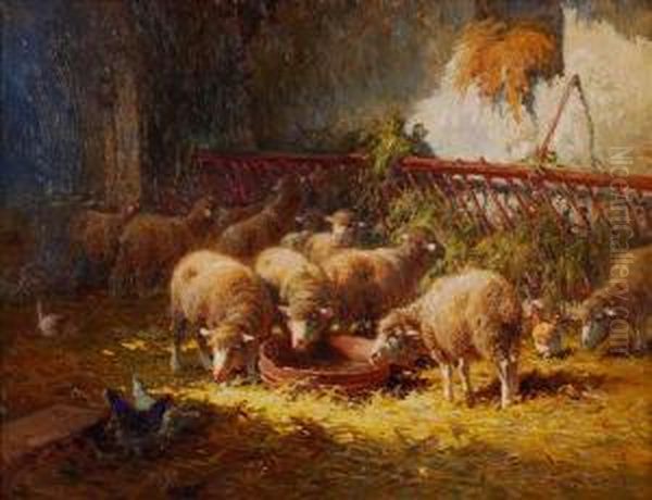 Sheep Feeding Ina Stall - view 1