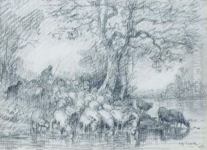 Moutons S'abreuvant