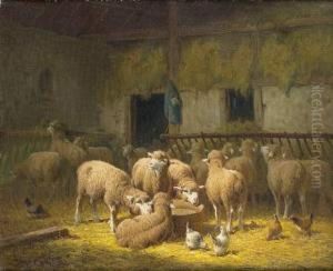 Moutons Dans La Bergerie