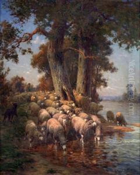 Troupeau De Moutons Sous Le Grand Chene Au Bord De La Riviere - view 1