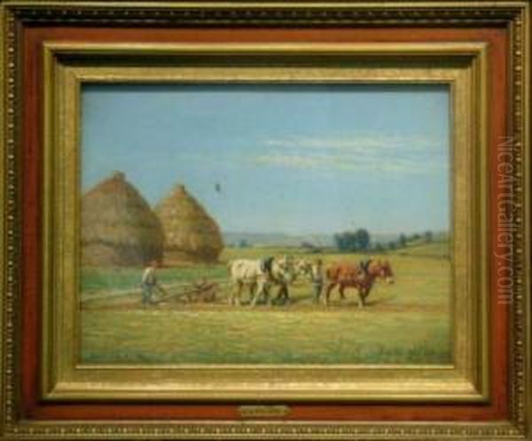 Plowing The Field - view 1