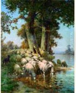Berger Et Son Troupeau De Moutons A L'abreuvoir 1918 by Charles Clair