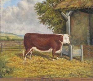 Hereford Ox