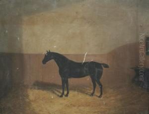 Horse In A Stable; 'lorna Doone' by A. Clark