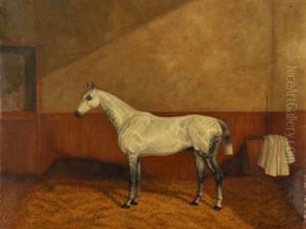 A Grey Hunter In A Stable - view 1