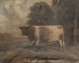 A Shorthorn Bull Standing Before A Farm by A. Clark