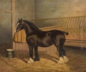 The Shire Horse 'queen Of Shires' In Astable by A. Clark