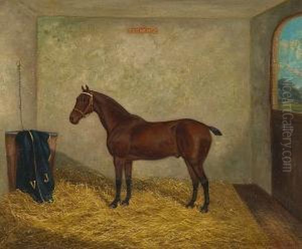 "exchange" - A Chestnut Hunter In A Loose Box - view 1
