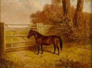E - Bay Horse In A Field By A Gate E - Bay Horse In A Field By A Gate