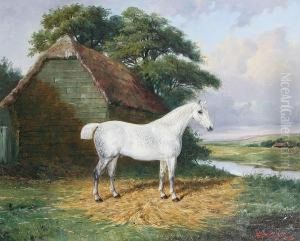 A Dappled Grey Hunter In A Riverside Paddock