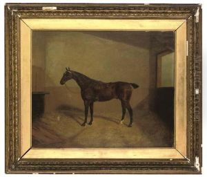 A Bay Hunter In A Stable A Bay Hunter In A Stable