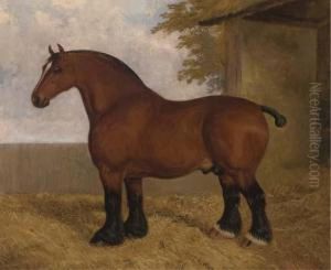 The Shire Stallion