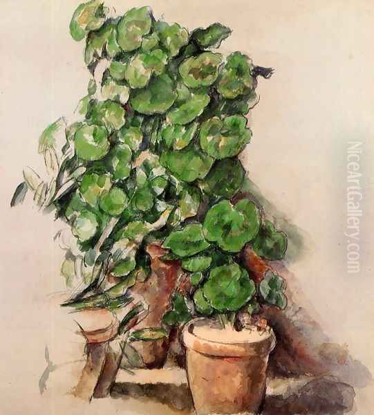 Pots Of Geraniums - view 1