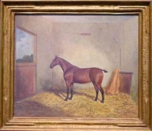 'ruby' In Her Stall