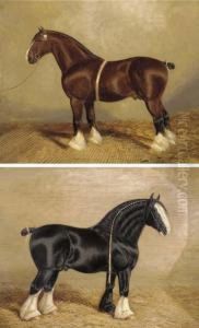 Bury Victor Chief A Heavy Horse Bury Victor Chief A Heavy Horse