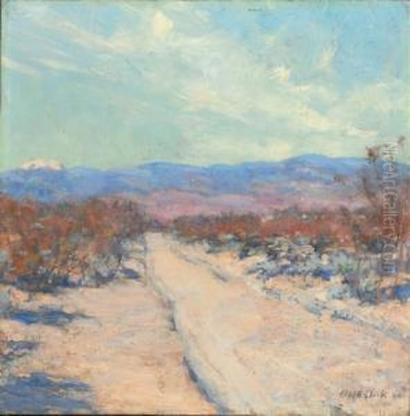 The Desert, Palm Springs, California - view 1