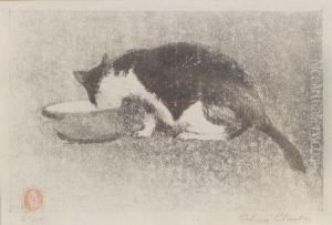 The Bowl Of Milk