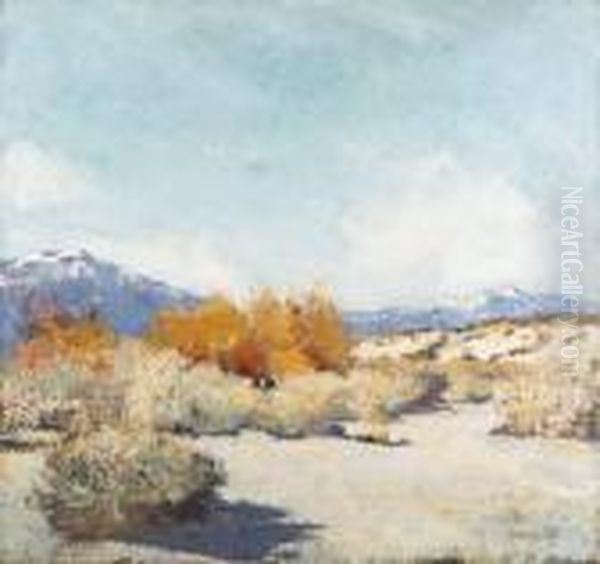 Desert Rose - view 1