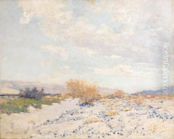 Desert Wash - view 1