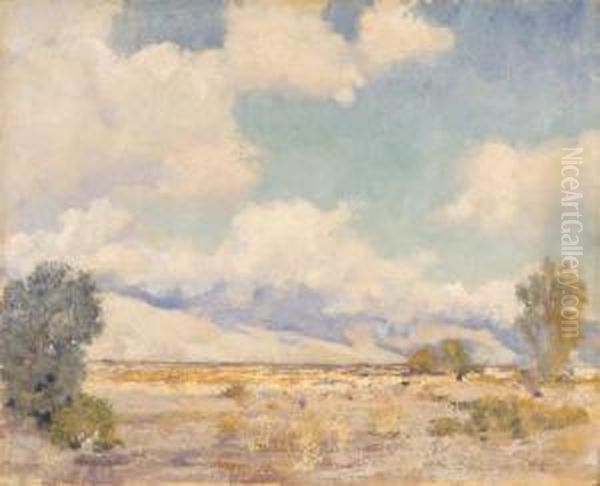 Smoke Trees - view 1