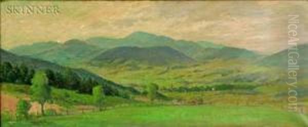 Summer Fields - view 1